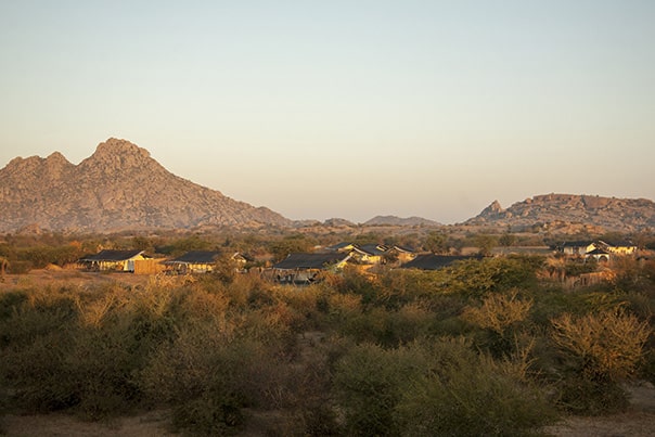 JAWAI Leopard Camp - India Travel Package