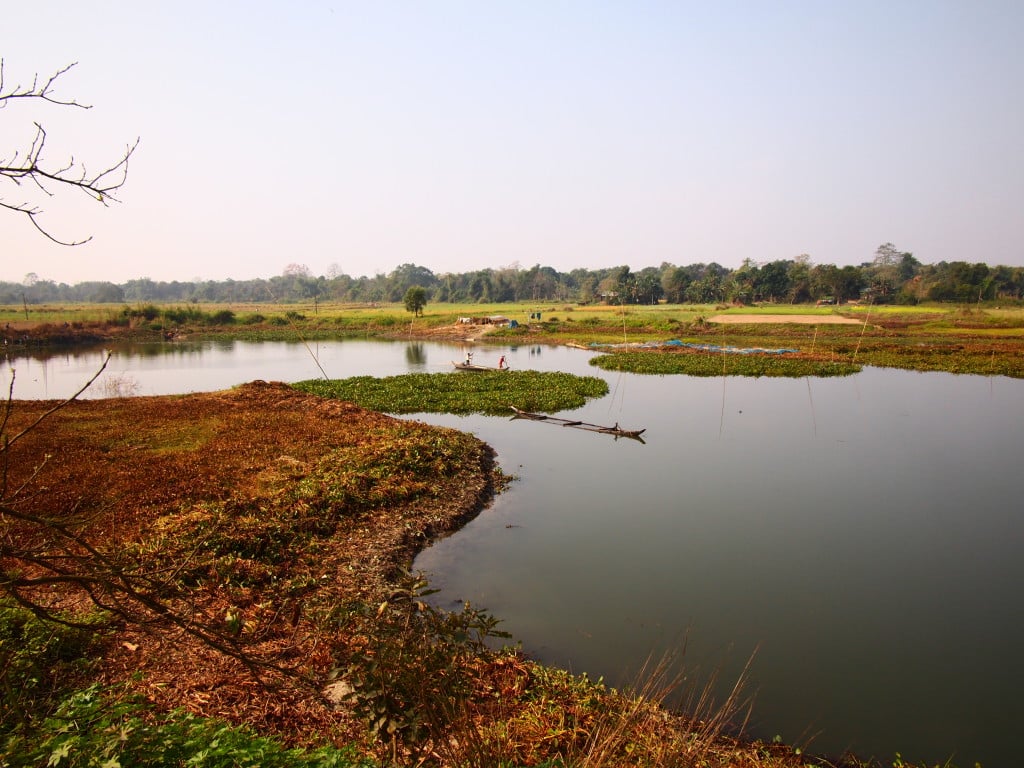 Majuli-Island-P1300867.jpg