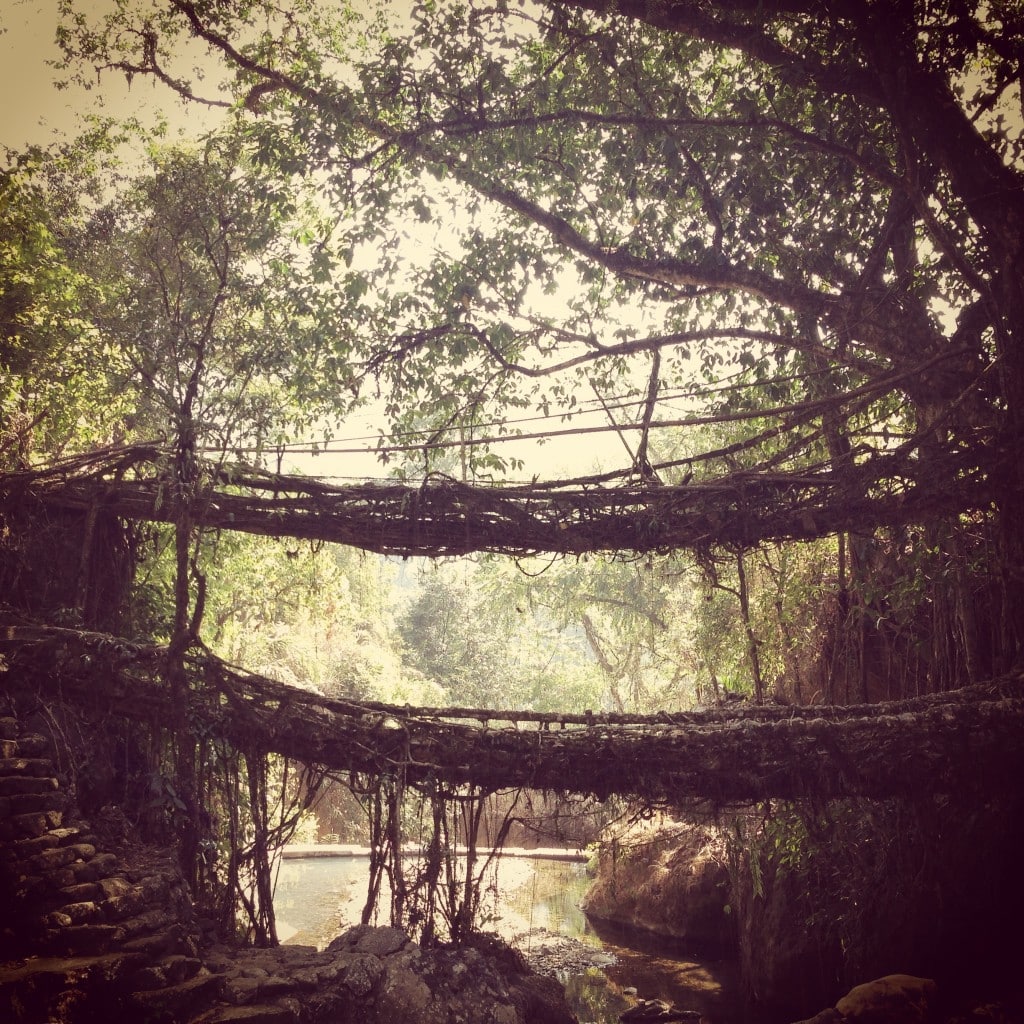 Meghalaya Double Decker Root Bridge 