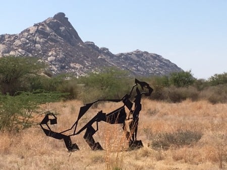 The view from breakfast at Jawai Leopard Camp