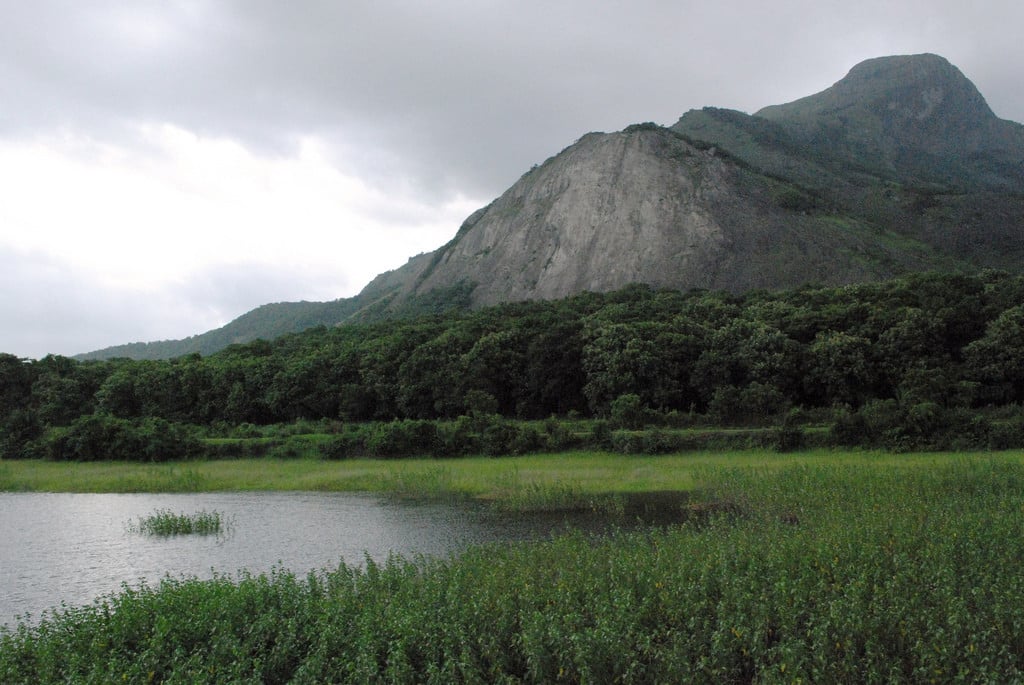 By Alosh Bennett - originally posted to Flickr as western ghats, CC BY 2.0, https:::commons.wikimedia.org:w:index.php?curid=7847464