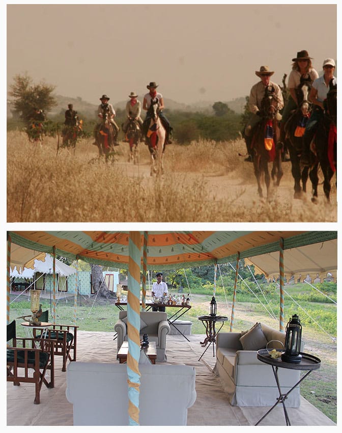 A Horse Safari In Leopard Country