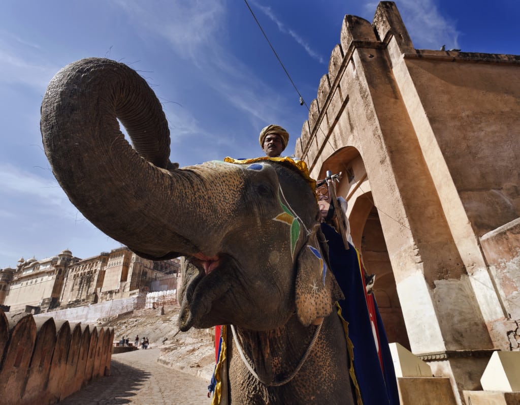 Elephant ride Jaipur