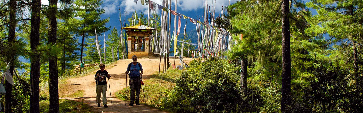 Stopping By The Woods For Some Forest Bathing In Bhutan
